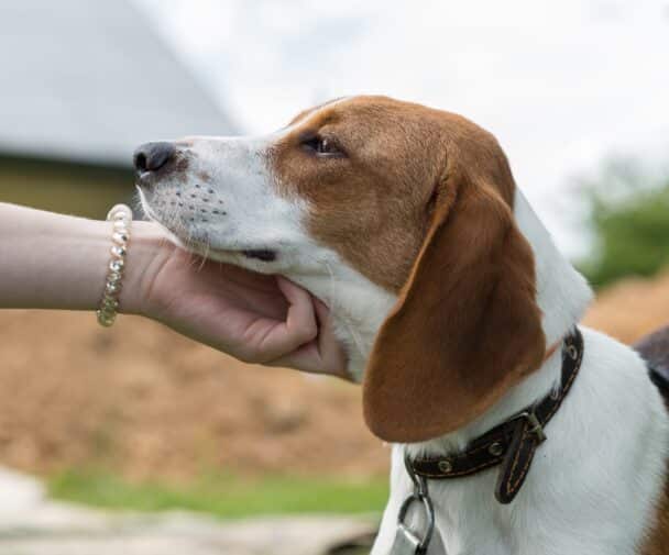 Les signes de reconnaissance un levier de performance et de bien-être