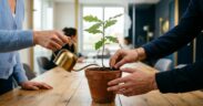 L'état d'esprit de croissance se cultive dans les pratiques d'équipe