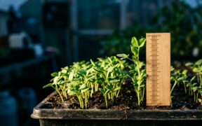 Mesurer une transformation IA sans tuer l'expérimentation